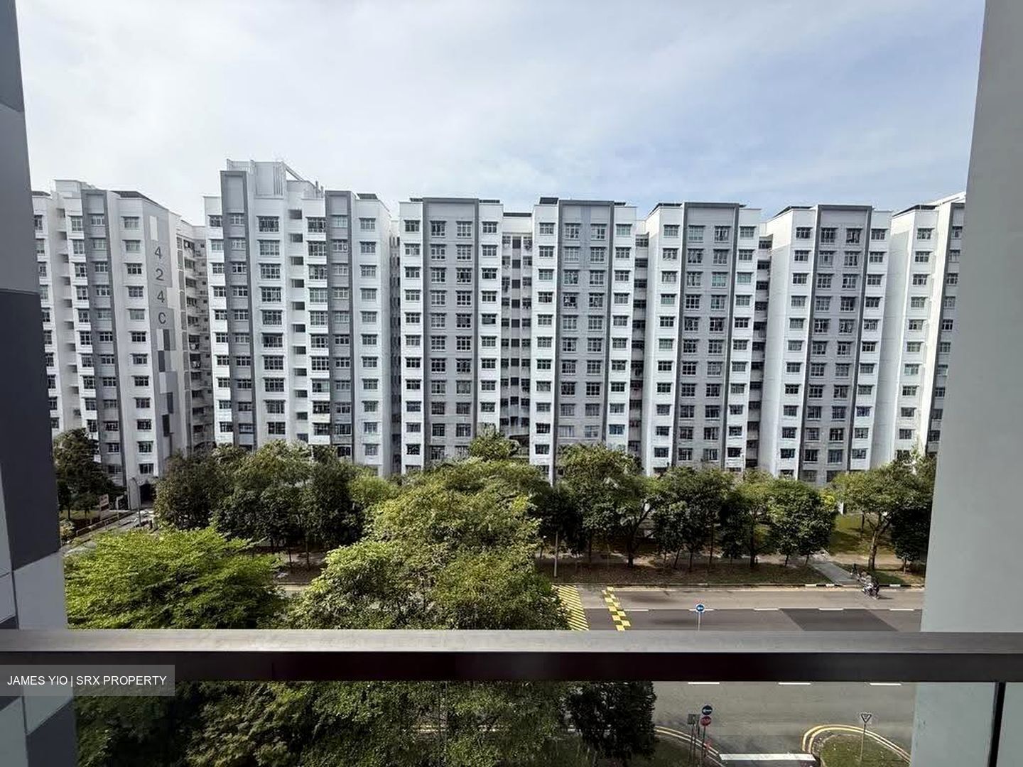 The Canopy (D27), Condominium #639051941